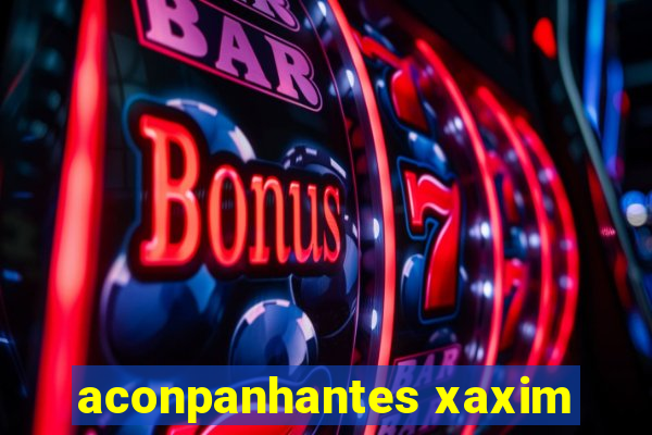 aconpanhantes xaxim